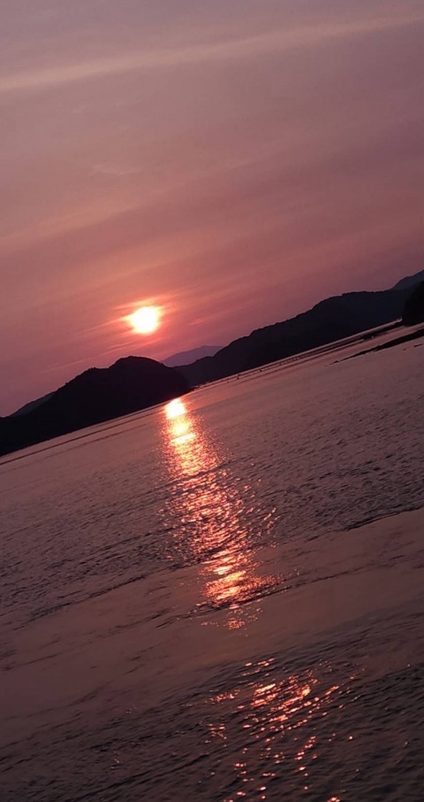 写メ