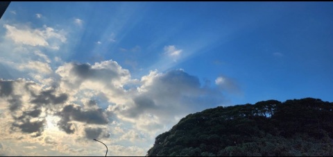 写メ