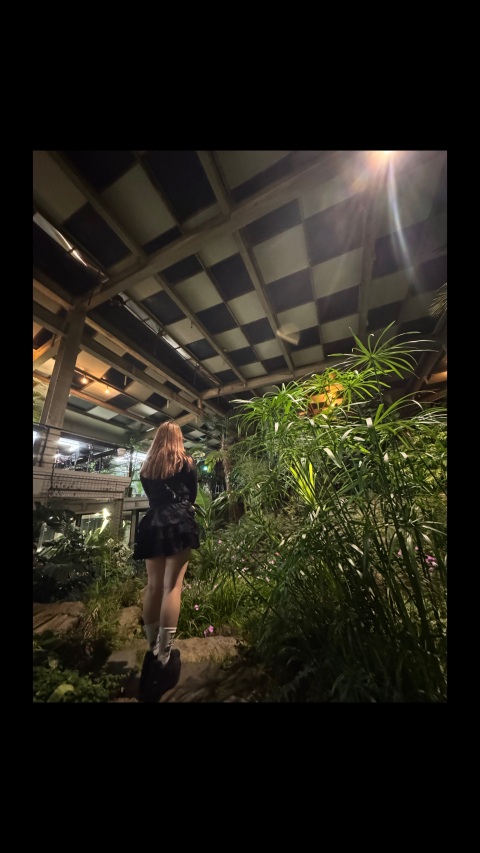 写メ
