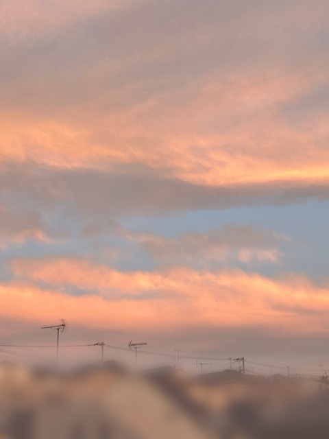 写メ